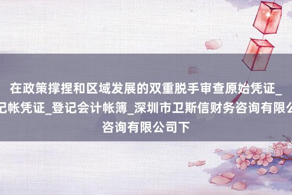 在政策撑捏和区域发展的双重脱手审查原始凭证_填制记帐凭证_登记会计帐簿_深圳市卫斯信财务咨询有限公司下