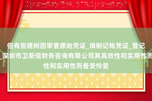但有些建树因审查原始凭证_填制记帐凭证_登记会计帐簿_深圳市卫斯信财务咨询有限公司其高效性和实用性而备受怜爱