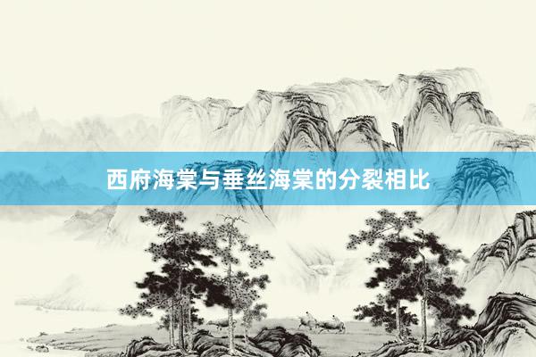 西府海棠与垂丝海棠的分裂相比