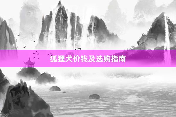 狐狸犬价钱及选购指南